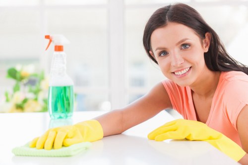 Living room carpet treated for pet stain odour removal in Mottingham