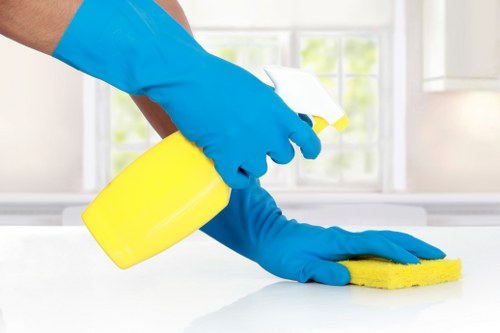 Professional carpet cleaning process in a domestic interior setting