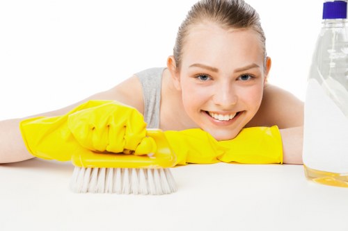 Dry carpet cleaning process for Mottingham properties