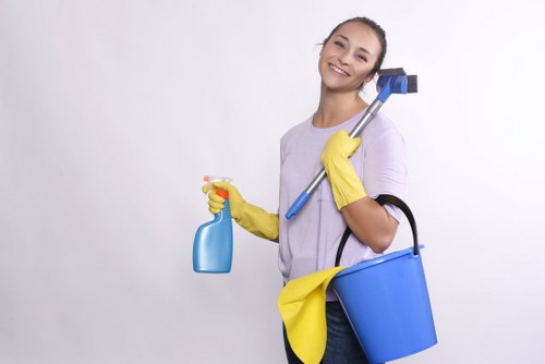 Curtain cleaning equipment and fabric refresh in Mottingham