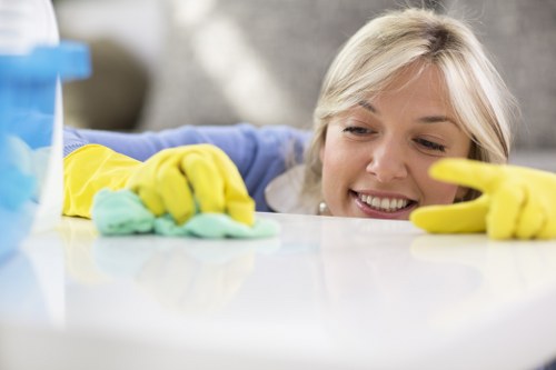 Deep cleaning process for upholstered furniture in Mottingham