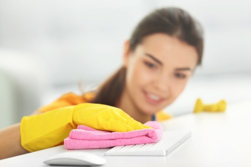 Stain removal and odour treatment for rugs in a Mottingham home