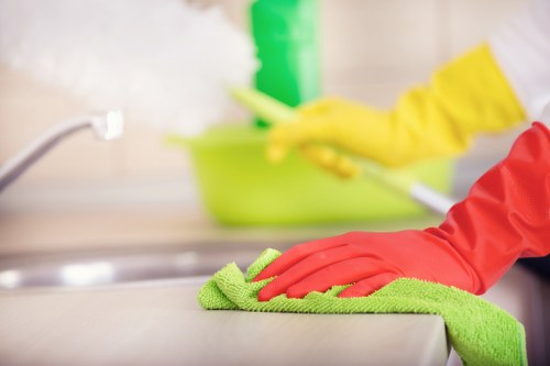 Professional upholstery cleaning for pet odour removal in a Mottingham home