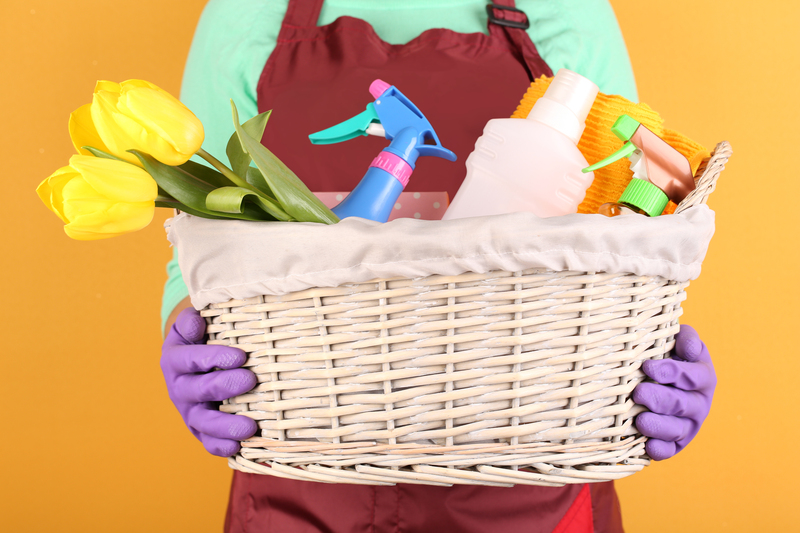 cleaning services Professional cleaners